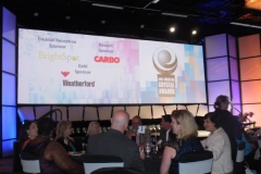 2013 AMA Crystal Awards